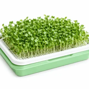 Microgreen Growing Trays