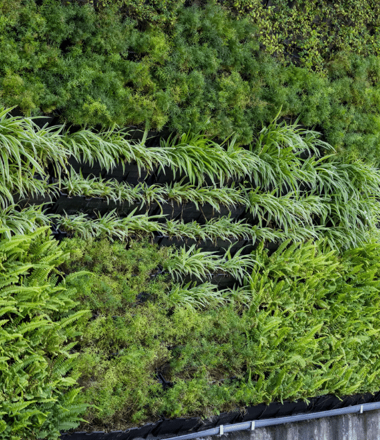 Hydroponics vertical wall garden with modular panels