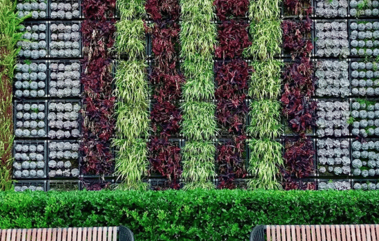 Vertical hydroponic system with recirculating water and nutrient delivery