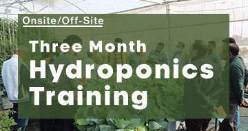 hydroponic consulting services