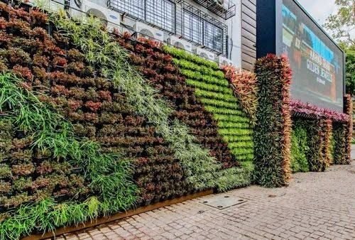 Colourful street-front green wall