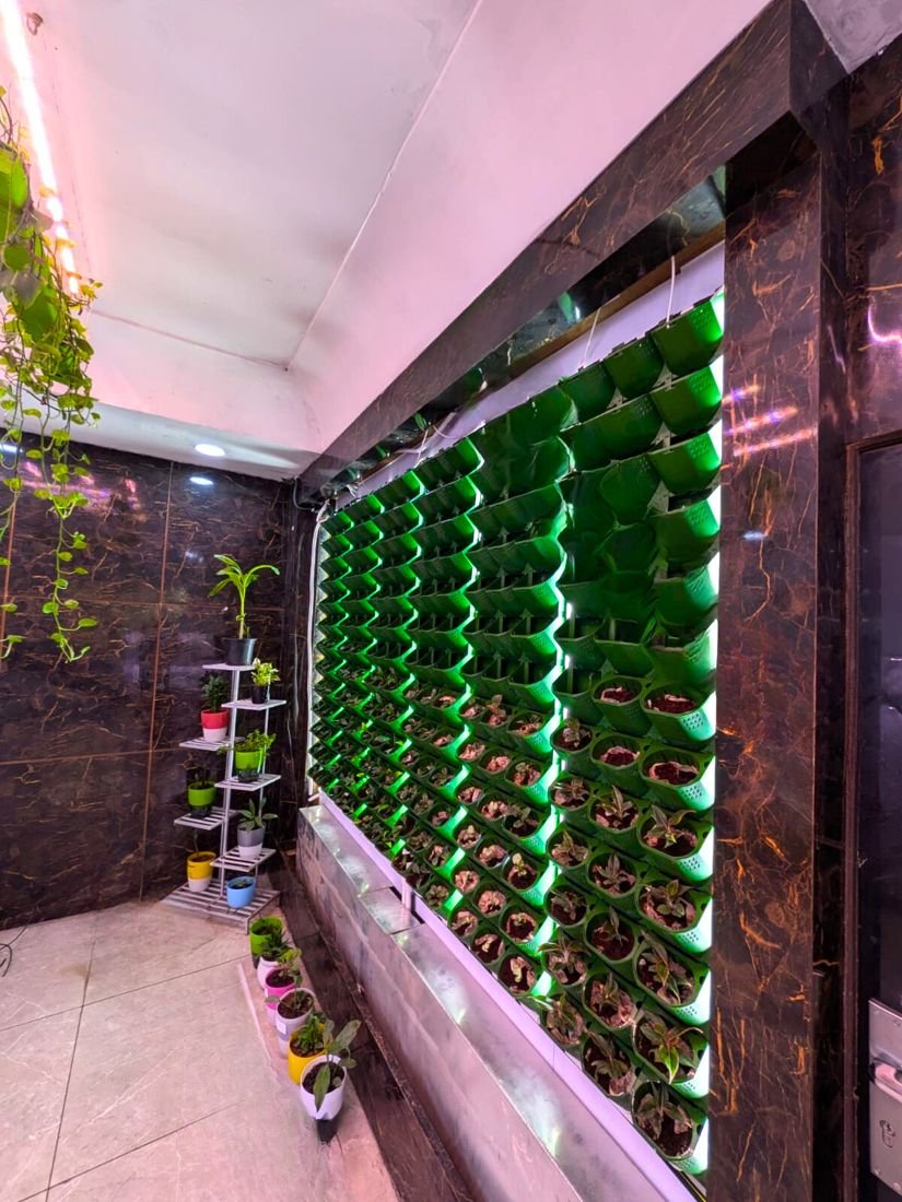 Hydroponics panels along a corridor with grow lights