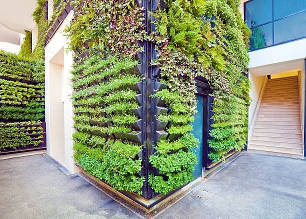 Living wall wrapping a building corner