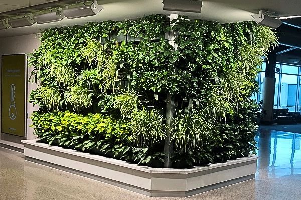 Large living wall in a building lobby