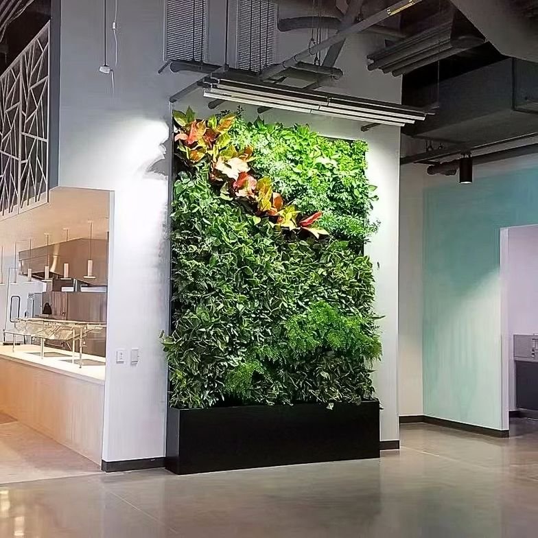 Vertical garden beside an office pantry